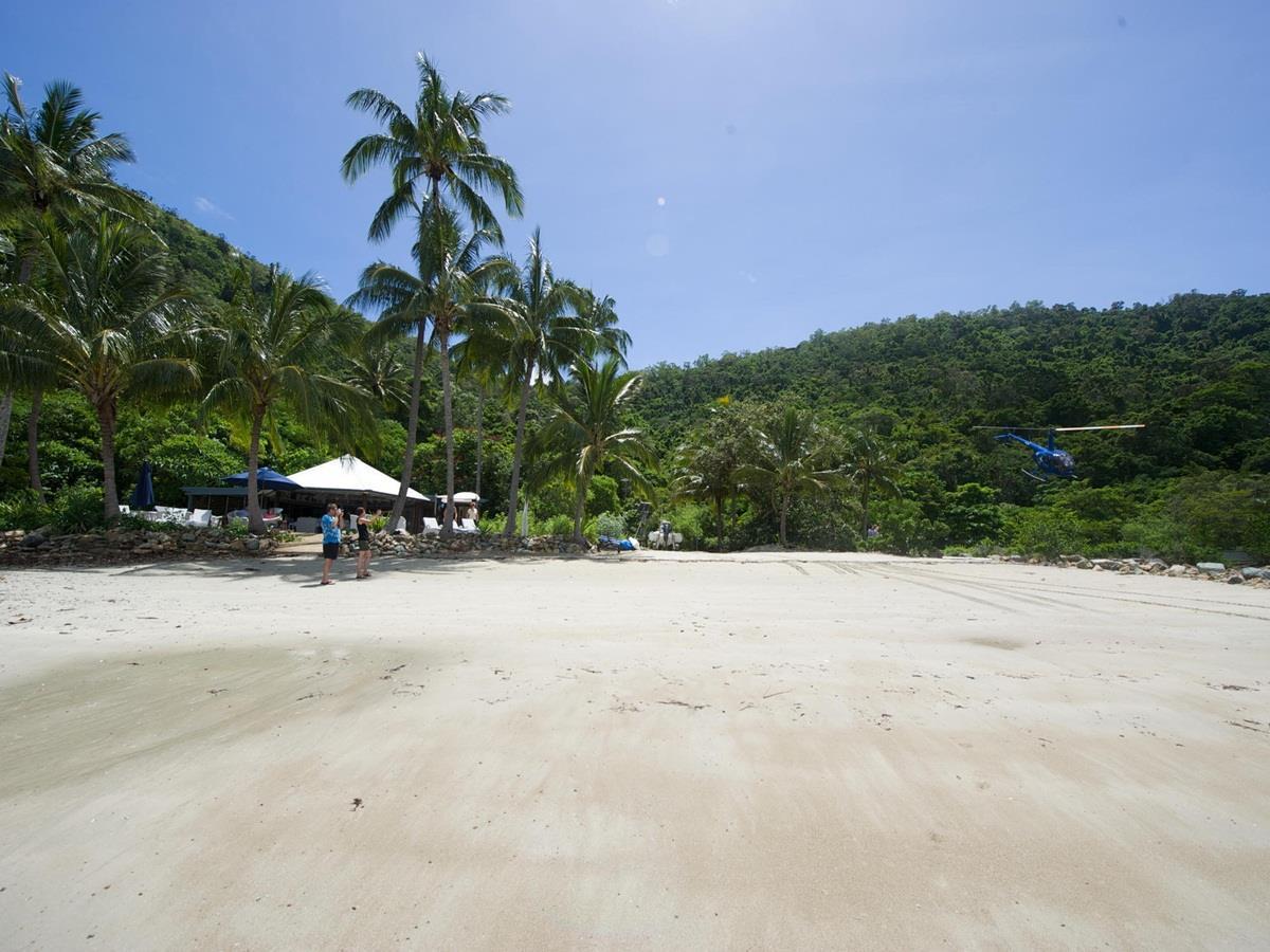 Paradise Bay Eco Escape ロング島 エクステリア 写真